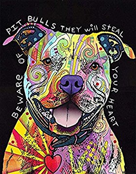60" x 80" Blanket Comfort Warmth Soft Plush Throw for CouchBeware of Pit Bulls