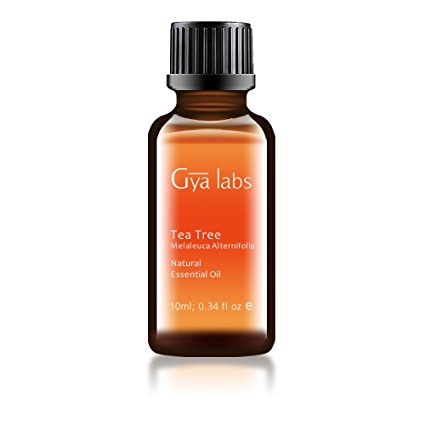 Gya Labs Tea Tree Essential Oil (Australia) - Organic, 100% Pure, Undiluted, Natural & Therapeutic Grade For Aromatherapy Diffuser, Health Skin and Relaxtion - 10ml
