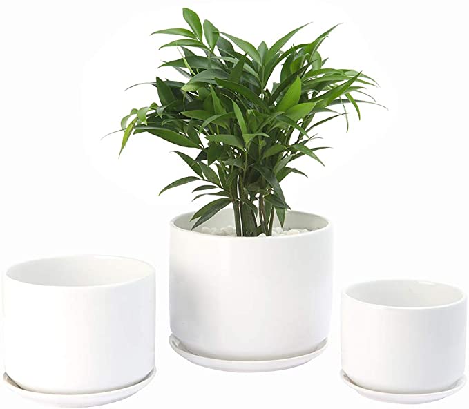 Plant Pots, Flower Pots Planters with Connected Saucer, Round Modern Decorative Succulent Gardening Pot with Drainage Hole for Indoor Plants Flowers Herbs - Set of 3 (White)