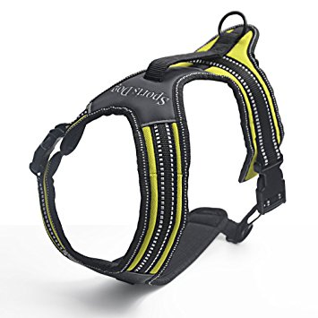 Front Range Dog Harness No Pull Dog Vest Harness with Handle for Small Medium Large 2 Leash Attachment Options Padded Lining Reflective Stitching