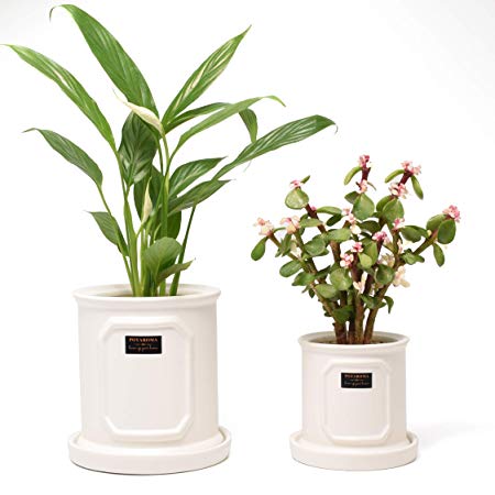 Ceramic Plant pots, 5 Inch Planter Indoor&Outdoor, Cylinder White Flower Pot Set of 2 with Drainage/Pottery Tray/Gardening Tools