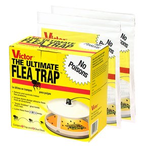 Victor Flea Trap and Two Refill Packages Combo