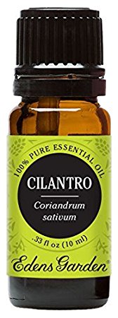 Edens Garden Cilantro 100% Pure Therapeutic Grade Essential Oil, 10 mL