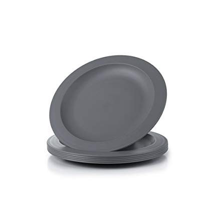 Amuse- Unbreakable and Reusable Plastic Plate Set- BPA Free- Set of 6-9.65 in. (Gray)