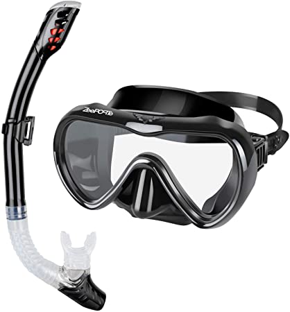 ZEEPORTE Snorkel Set, Anti-Fog Tempered Glass Panoramic Diving Mask, Dry Top Snorkel Gear with Purge Valve and Anti-Splash Guard, Watertight Anti-Impact Snorkeling Mask for Adults
