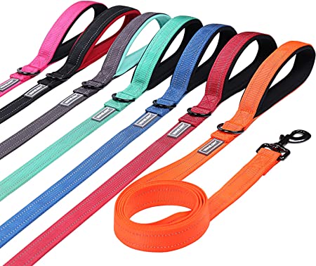 VIVAGLORY Dog Training Leash with Padded Handle, Heavy Duty 6ft Long Reflective Nylon Leash Walking Lead for Medium to Large Dogs, Orange,6 ft. x 1 in. (Standard)