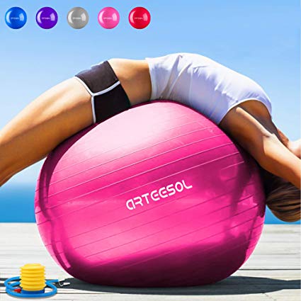 Arteesol Anti-Burst Exercise Ball, Fitness Balance Swiss Ball with Quick Pump 45/55/65/75cm Anti-Slip Yoga Ball Heavy Duty Gym Ball for Physical Therapy, Gym and Home Exercise