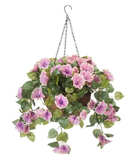 Miles Kimball Fully Assembled Petunia Hanging Basket by OakRidgeTM Outdoor