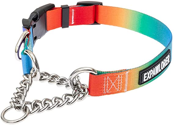 EXPAWLORER Martingale Dog Collar with Chain - Adjustable Slip Collar with Stainless Steel Chain for Dog Training, Colorful Pet Choke Collars for Medium Large Dogs