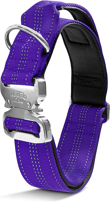 Black Rhino - Tactical Dog Collar Ultra-Soft Neoprene Padded Dog Collars for Medium, Large, XL Dogs | Heavy Duty Metal Buckle | Padded Handle for Dog Training (Large, Purple)