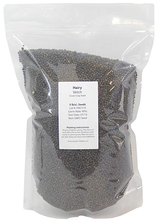Hairy Vetch Seeds: Untreated, Non-GMO, 5 lbs.