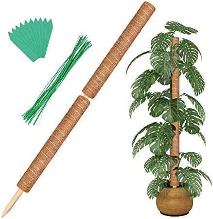 Augshy Total Length 43 Inches Moss Poles - 2PCS 24 Inch Plants Support Stakes Pole for Indoor Plants Coir Totem Pole for Creeper Monstera Plant Climbing