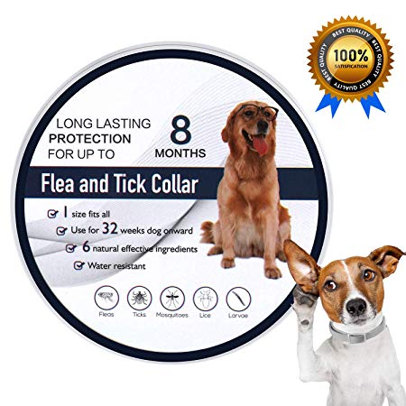 Fenvella Flea and Tick Collar - 8 Month Protection Adjustable Waterproof Collar for Dog Puppy, Natural & Safe Efficiently Repell Locust Lice of Pets (Grey, Dog)