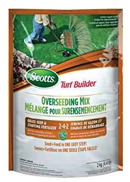 Scotts Turf Builder Overseeding Mix, 2kg