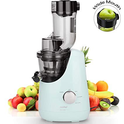 Comfee Slow Masticating Juicer, Cold Press Juice Extractor and Ice Cream Maker; Make High Nutrient Vegetable Juice and Fruit Jam