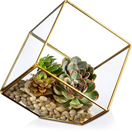 KooK Gold Geometric Terrarium Plant Holder