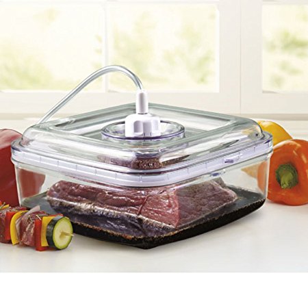 FoodSaver GameSaver Quick Marinator