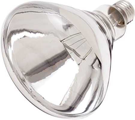 Satco 250-Watt BR40 Incandescent CLEAR Heat Lamp Light Bulb (12 Pack)