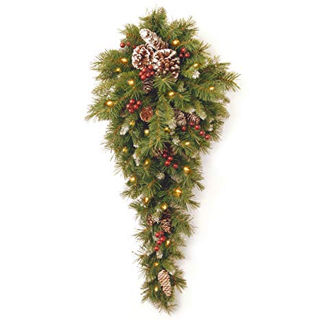 National Tree 3 Foot Frosted Berry Teardrop with 50 Warm White Battery Operated LED Lights (FRB-3TDL-B1)