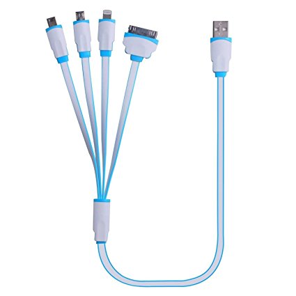 Multi Charger,11" Multiple USB Charging Cable with 8 Pin Lighting / 30 Pin / Micro USB / Micro USB/ Mini USB Ports for iPhone 6s, 6s Plus, iPhone 6, 6 Plus, 5 / 5S / 5C, 4S 4, iPad 4 3 2, iPad Air, iPad Mini And Most Android Device(White Blue)