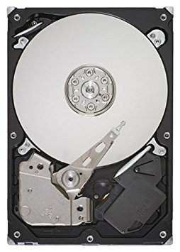 Seagate Constellation ES ST32000445SS 2 TB Internal Hard Drive (ST32000445SS)