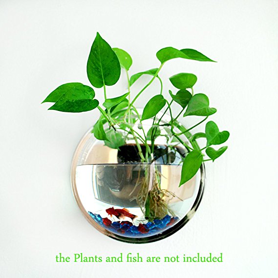 Plant Wall Hanging Fish Bubble - Wall Mounted Acrylic Fish Bowl Home Decoration（2-pack）