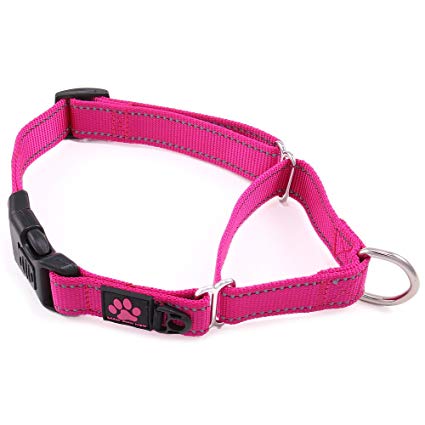 Max and Neo Nylon Martingale Collar - We Donate a Collar to a Dog Rescue for Every Collar Sold