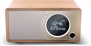 SHARP radio numérique DR-450(BR) Radio numérique Portable avec Dab/Dab /FM, Bluetooth 4.2, Fonction d'alarme/Sommeil et Snooze en Bois Marron