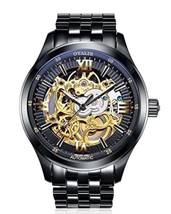 Men's Fashion Mechanical Self-wind Waterproof Stainless Steel Skeleton Watch With Gold Dial