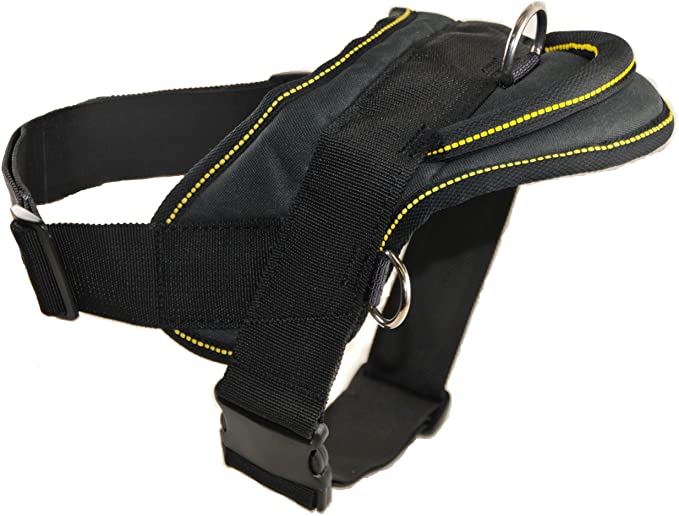 Dean and Tyler DT Dog Harness, Black with Yellow Trim
