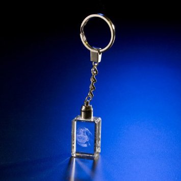 Personalized Crystal Picture Engraved Key Chain