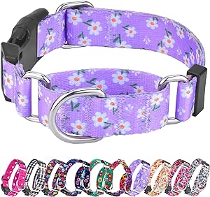 Martingale Collar for Dogs, Adjustable Soft Nylon Dog Collars with Special Design Cute Patterns for Small Medium Large Dog