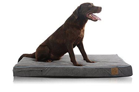 Laifug 45DHI Premium Memory Foam Orthopedic Extra Large Pet/Dog Bed | Durable Waterproof Liner | Removable Designer Washable Cover | Helps Ease Pain of Arthritis & Hip Dysplasia for Dogs |