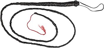Whip - Leather Whip