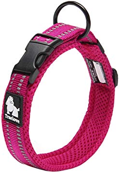 Creation Core 3M Reflective Mesh Padded Dog Collar Adjustable Nylon Outdoor Adventure Pet Collar