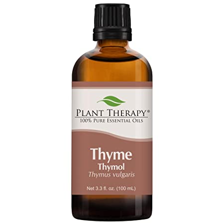 Plant Therapy Thyme Thymol Essential Oil 100% Pure, Undiluted, Natural Aromatherapy, Therapeutic Grade 100 mL (3.3 oz)