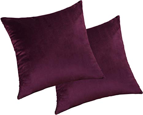 Throw Pillow Cover, TIANSHU Solid-Color Velvet Decorative Square Throw Pillow Covers Set Cushion Cases PillowCases for Sofa Bedroom Car (18''x18'', set of 2, Purple)