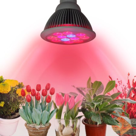 Innoo Tech Grow Light for Indoor Plants 24W Plant Bulb High Efficient LED Grow Lights Greenhouse Growing and Flowering Lamps for Indoor Garden and Hydroponic Plants
