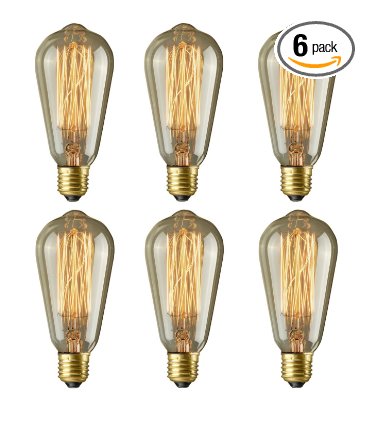 Rolay 160 Lumens Vintage Edison Light Bulbs with Squirrel Cage Filament, 110~130 Volts, 6 Pack