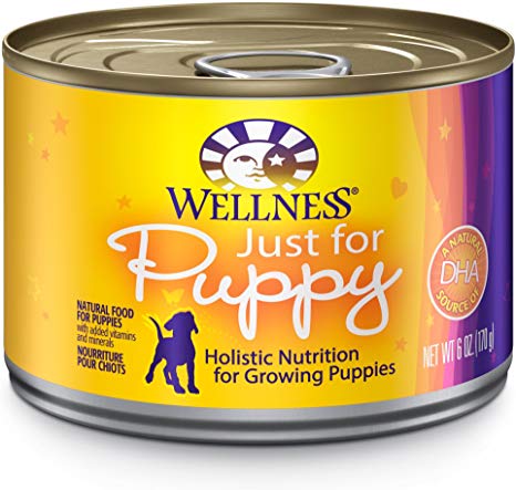 Wellness Complete Health Natural Wet Canned Dog Food Puppy Chicken & Salmon