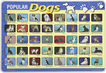 Painless Learning Popular Dogs Placemat