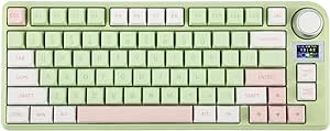 EPOMAKER TH80-X Gasket Mechanical Keyboard, 75% Layout Triple Mode Hot-swap Gaming Keyboard with 4000mAh Battery, LCD Screen, NKRO for Office/Win/Mac (Pink Green, Gateron Pro Yellow)