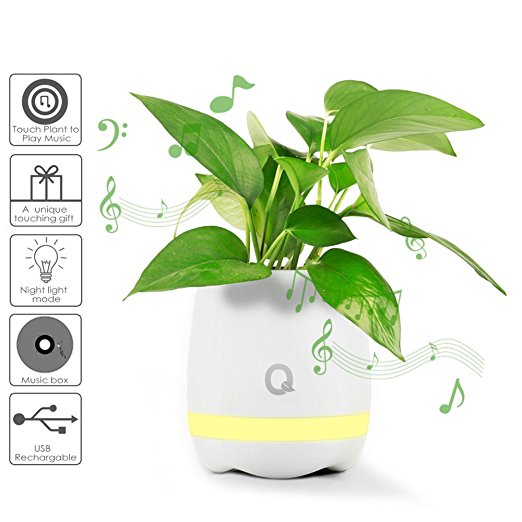 Play Piano on a Real Plant Festival Gift Flowerpot Night Light Smart Touch Music Plant Lamp Rechargeable Wireless (Little Star Song)