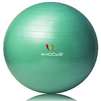 Wacces Exercise Workout Ball for Yoga Fitness Pilates Sculpting with Dual Action Pump