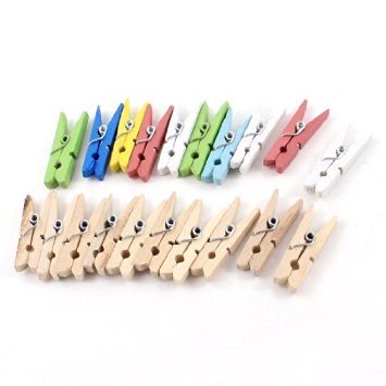 Water & Wood 20 Pcs Home Assorted Color Socks Clip Clothespin Clothes Peg