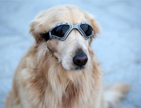 PETLESO® Large Dog Goggles Sunglasses UV Goggles Goggles Golden Retriever Goggles