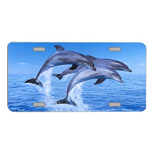 Smart Blonde Dolphins Novelty Vanity Metal License Plate Tag Sign