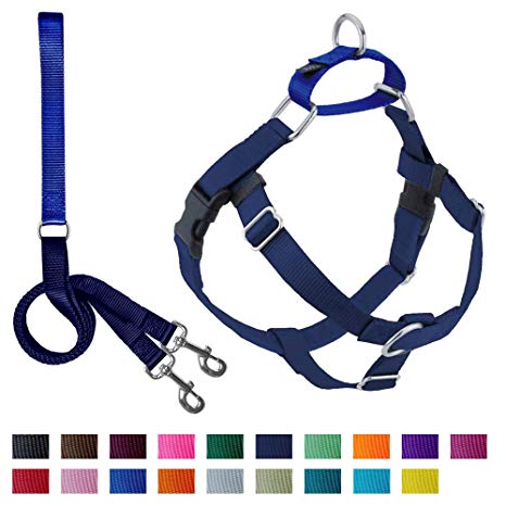 2 Hounds Design Freedom No Pull Harness and Leash Training Kit Navy Lg