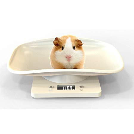 Baby Weighing Scale, Digital Pet Scale Digital Baby Scale Measure Infant/Baby/Pet Weight Accurately, Precision of 10g, Large LCD Display (White)