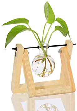 Ivolador Desktop Glass Planter Bulb Vase with Retro Solid Wooden Stand and Metal Swivel Holder for Hydroponics Plants Home Garden Wedding Décor